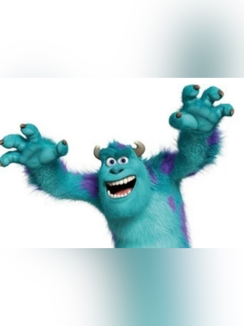 Sulley from Monster Inc perfect for Halloween costume